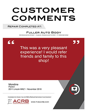 Customer Comment #29 | [SITE_TITLE]